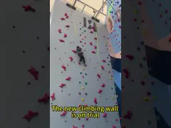 Владения тома большие взбираясь трясут владения портативной машинки Bouldering взбираясь на открытом воздухе video