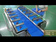 ПЛК Электронные весы Стейк Рыба Курица Морская пища Креветки Колбасы Вес Многоголовые ремни Кормильщик Комбинация video