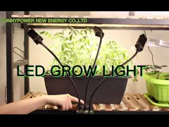 3 Глава регулируемая Грозный шея полный спектр для растений внутреннего выращивания Цветение Время затуманенное video