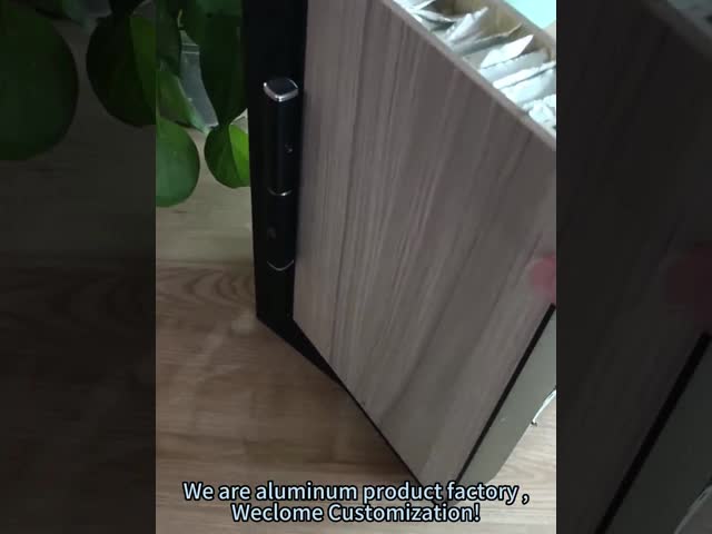 35MM Thickness Black Aluminum Door  Architectural Suspended Fireproof Door