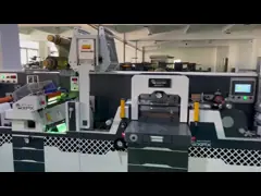 Автомашина для резки маркировки на основе штамповки на холоде высокоскоростная резка video