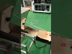 High Speed Fully Automatic Softgel Capsule Sorting Machine