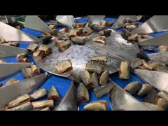 Waterproof Automatic Multihead Weigher Weight 1kg Seafood Frozen Fish Packing Machine video