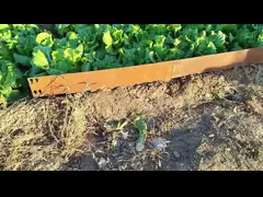 ландшафт 200mm высокий Corten стальной окаймляя сопротивление оксидации video