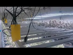 Growers republic Eagle 1000W full spectrum with UV+IR for indoor cultivation, high-quality