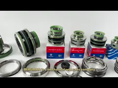 China SGS John Crane Type Pump Mechanical Seal Silicon Carbide 2100S 2100K 304 Spring supplier