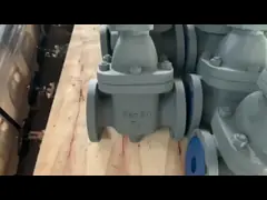 Морской металлический дверной клапан 5K 10K Фланцевый конечный клапан video