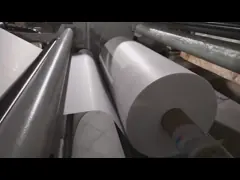 China Recycled PET Sheet Extrusion Line For White Or Black Farm Seeding Tray supplier