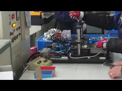 Magnetization Process