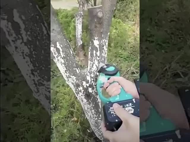 Serra de cadeia portátil de íons de lítio Recarregável Trabalho de madeira Pequena Serra Elétrica de mão 4 polegadas 6 polegadas