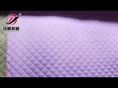 YGB64-2-3 Computerized Quilting Machine For Jacket Multi-Needle