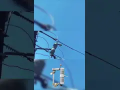 40.5 кВ полимерный предохранитель вырезанный / композитный предохранитель вырезанный с стандартом IEC video