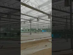 Vegetable Greenhouse Liquid Soil Stabilizer Breeding Soil Solidifying Agent