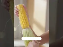 Перчатки химических устойчивых перчаток руки PVC промышленные устранимые video