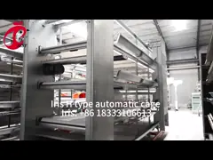 Тип автоматическая кладя система h клетки сельского хозяйства птицы цыпленка в радужке рынка Африки video