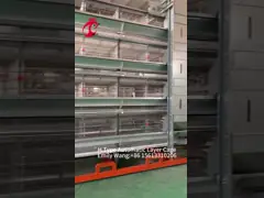 Full Automated 20000 Birds A Type Poultry Farming Cage System  Emily