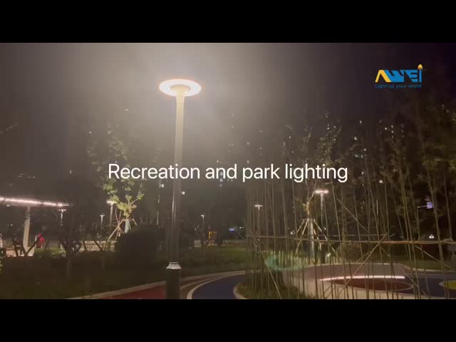 5 Year Warranty 30W-100W LED Garden Light Fixtures for Outdoor Use Landscape Lighting For Residential Areas