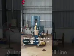 China 4 Cell Birds Chicken Cage System With Conveyor Belt For Chicken Farm Mia supplier
