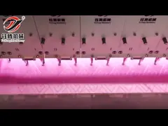 Высокая скорость 900RPM Компьютеризированная машина для вышивки ковров video