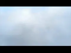 Kelong company development