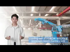 Versatile Telescopic And Knuckle Shipboard Crane 9T 16.3M