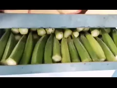 15KG 20kg 家庭用 長期食品保存用 冷凍乾燥機