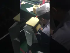 Силиконовый карбид нейлоновый абразивный сисальный конвейер Промышленная чистка роликовая щетка video