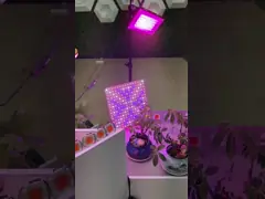 Стабильный 0,5 Вт 2835 Чип полный спектр, 380nm-850nm SMD LED Grow Light video