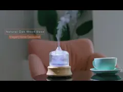 Стеклянный ультразвуковой диффузер для эфирного масла 80 мл DN-836 video