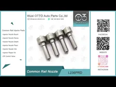 L236PRD Delphi Common Rail Nozzle For Injectors R04201D
