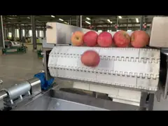 China Commercial Use Tortilla Production Line Flatbread For Food Factory supplier