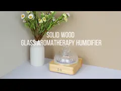 Диффузер ароматизации из твердого деревянного стекла DN-839 video