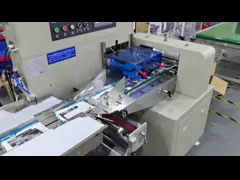 GLW450 горизонтальная упаковочная машина подушка сервоуправление самодиагностика video