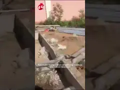 Птицефабрика Батарея Детский цыпленок гнездящий клетка Для продажи Ада video