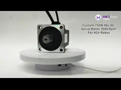 750 Вт 2,38 Нм AGV Драйвер DC сервомотор 20А высокий крутящий момент для роботов video