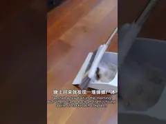 PfDNV Биологический немецкий убийца тараканов Черный жук Привлекатель безопасен для людей и домашних животных video