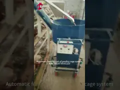 China Nigeria Factory Layer Broiler Poultry Chicken Rearing Cage For Sale Ada video