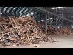 Stainless Steel Biomass Wood Pellet Machine Factory Direct Supply