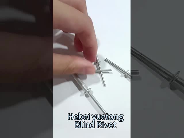 白い亜鉛色のさら穴を開けられた頭部が付いているアルミニウム物質的なブラインドのリベット