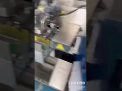 Отдельная станция стоит вверх по сумке молнии машины упаковки порошка овсяной каши зерен специи мешка video