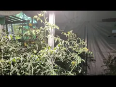 обломок СИД УДАРА модуля AC110V 220V Адвокатуры света 40W для крытых заводов парника video