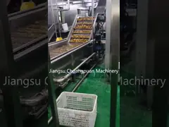 500-50000KG/h Машина для производства сока манго video