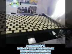 Fully Automatic Biscuit Processing Line 500kg/H A To Z Soft Biscuit Production Line video