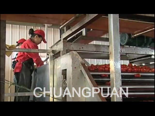 Linha de produção automática de pasta de tomate personalizada Chave de giro 1-50T/H 28-30/36-38brix