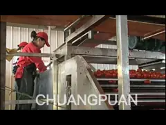 Автоматическая линия производства томатной пасты для томатной пасты кетчуп соус и многое другое video