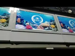 Ультратонкий лифт LCD дисплей Двойной экран Монитор LCD Рекламный дисплей video
