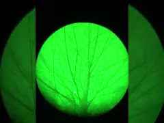 Устройство PVS14 Super 2-го поколения для монокулярного ночного видения при низком освещении video