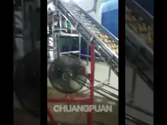 Turn Key PLC Control 1-20T/H Mango Pulp Production Line 220V 380V 440V