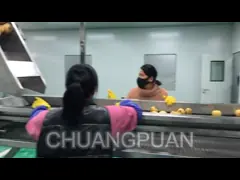 1-50T/H Линия обработки фруктового сока моркови и груши video