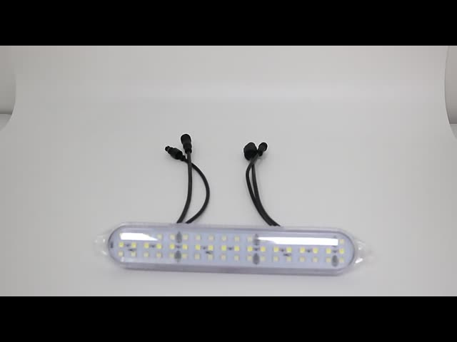24V DMX512 RGBW LEDピクセルモジュールライト 娯楽用 耐水 IP67